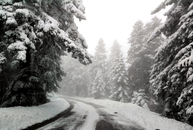 snow_road18