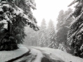 snow_road18